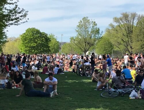 A Look At Trinty Bellwoods Park